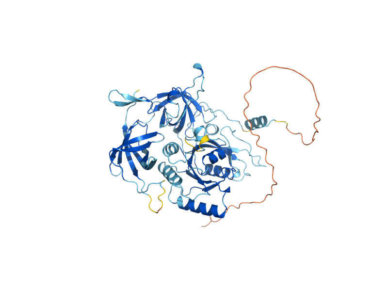 AlphaFold predicted structure of GCD11