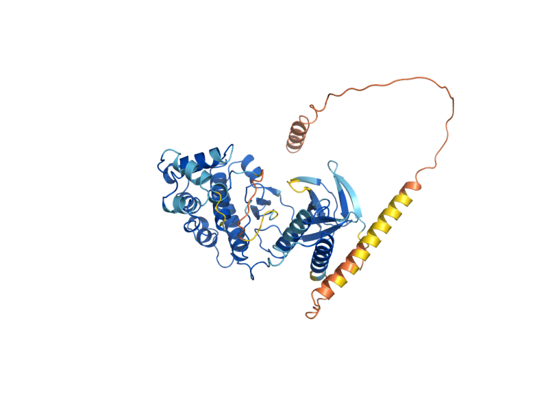 AlphaFold predicted structure of HOG1