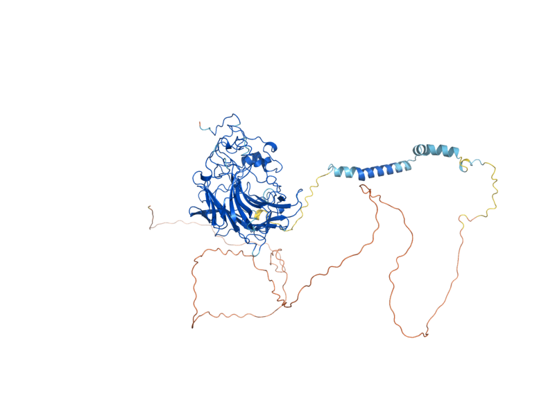 AlphaFold predicted structure of KRE6