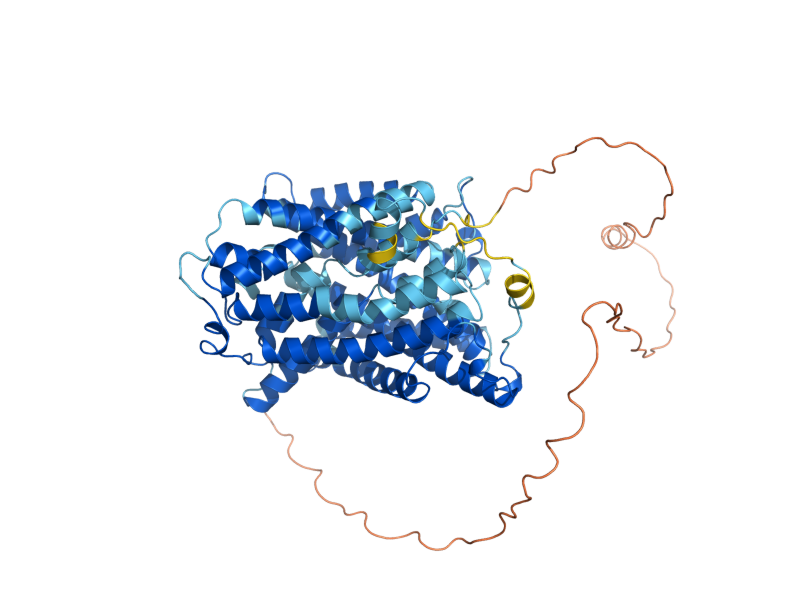AlphaFold predicted structure of LYP1