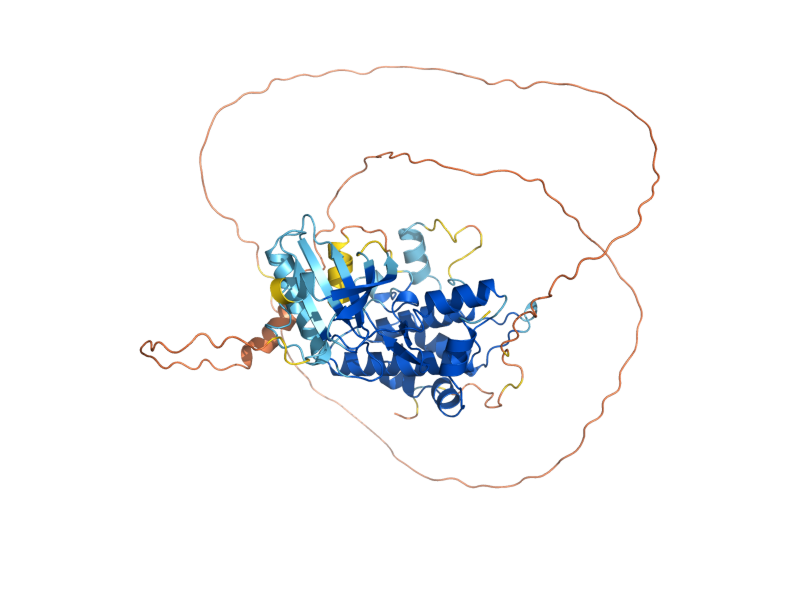 AlphaFold predicted structure of MKK1