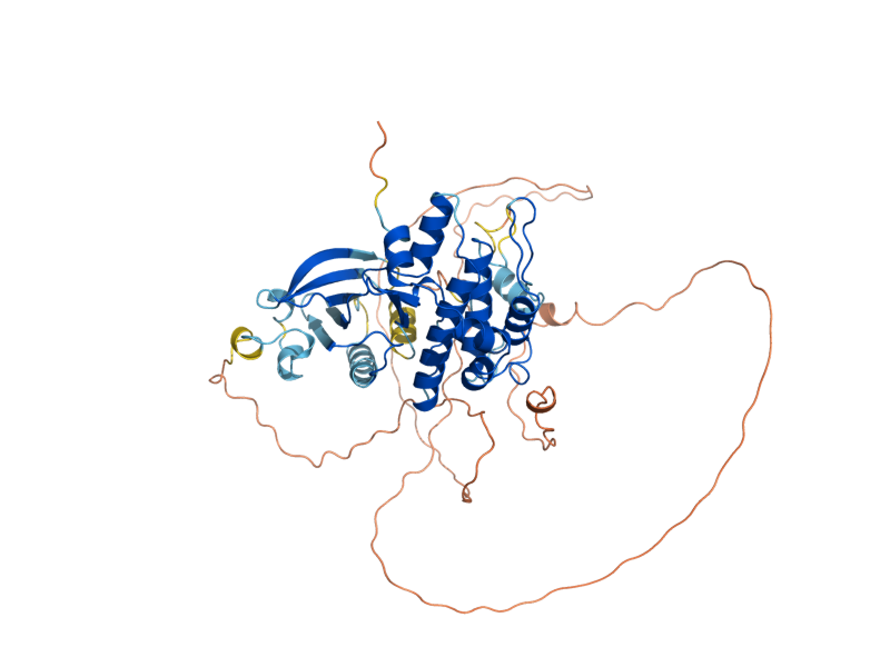 AlphaFold predicted structure of MKK2