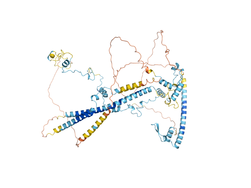 AlphaFold predicted structure of NGG1