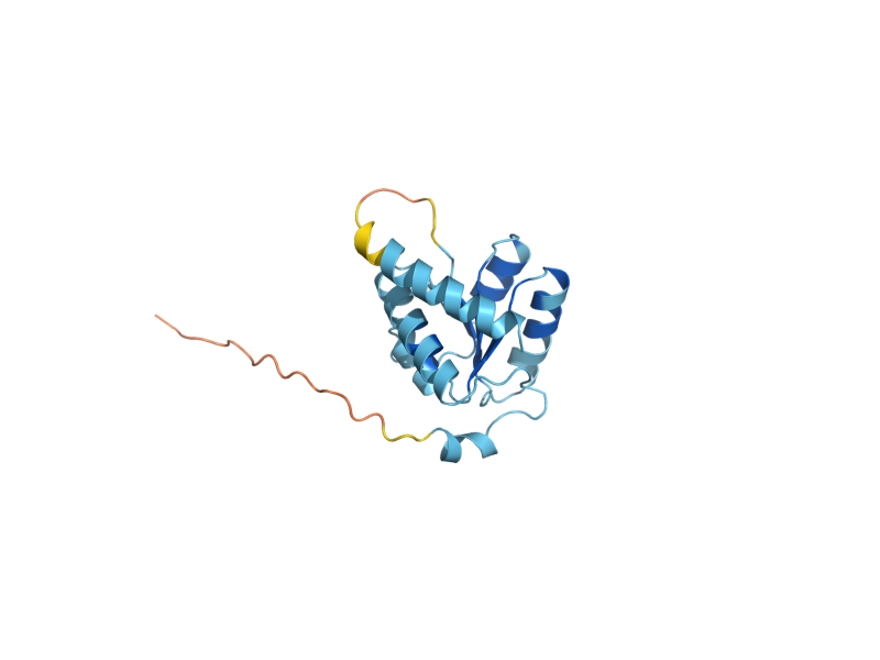AlphaFold predicted structure of NHP2