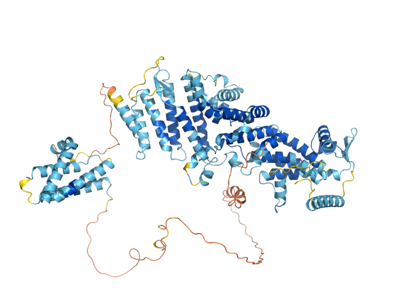 AlphaFold predicted structure of NIP1