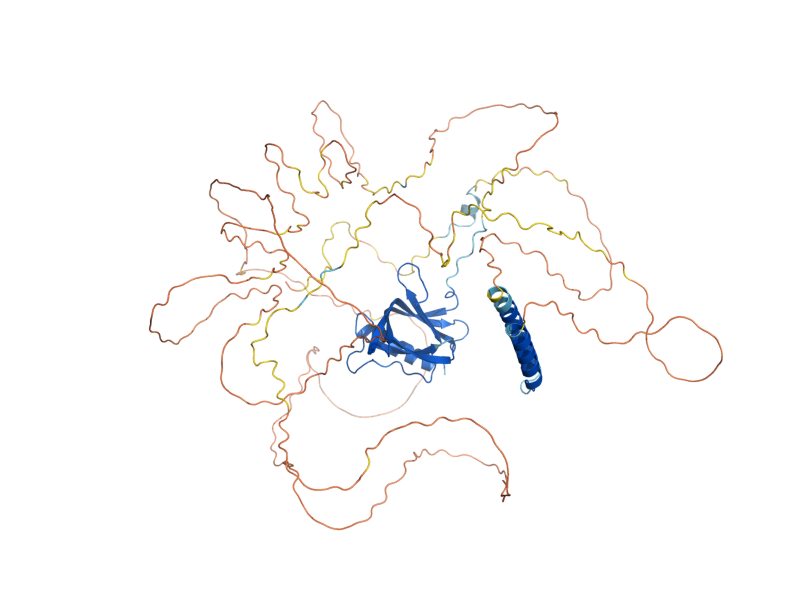 AlphaFold predicted structure of NUP2