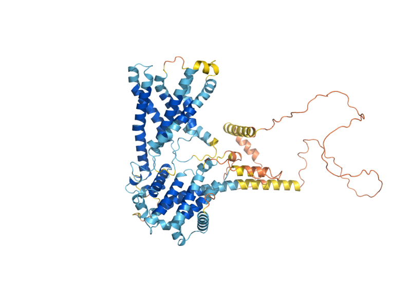 AlphaFold predicted structure of NDC1
