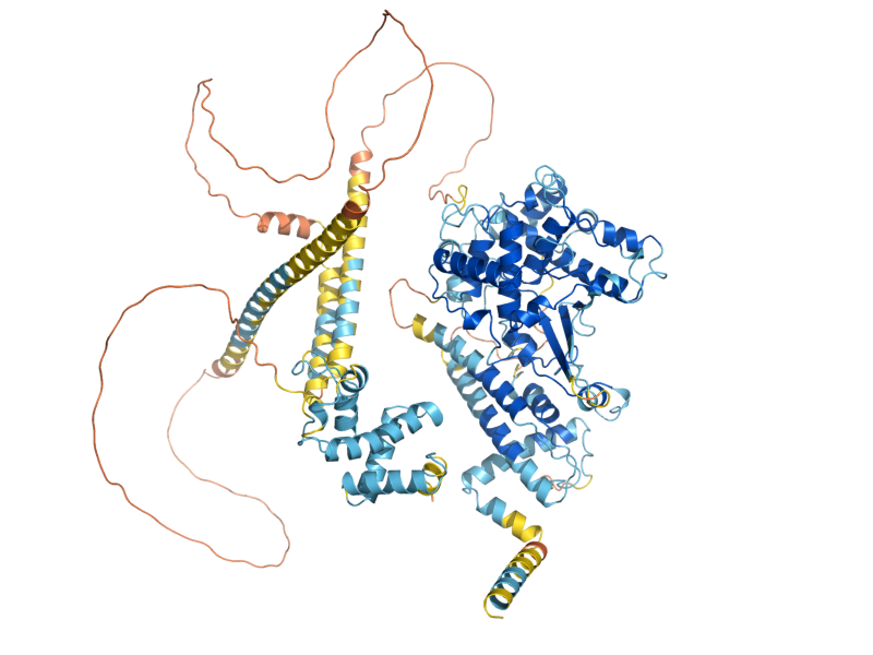 AlphaFold predicted structure of CBF2