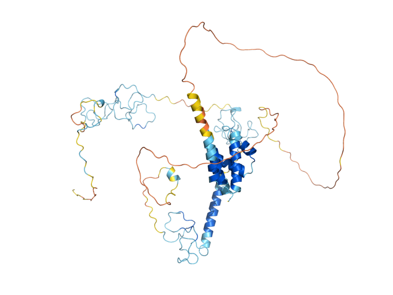 AlphaFold predicted structure of NAB2