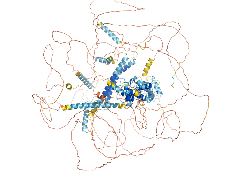 AlphaFold predicted structure of PAN1
