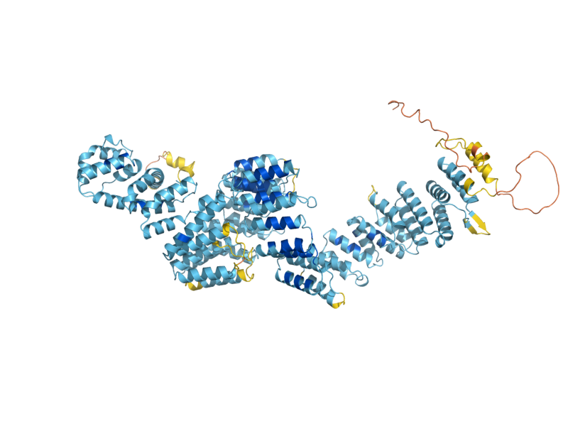 AlphaFold predicted structure of PET309