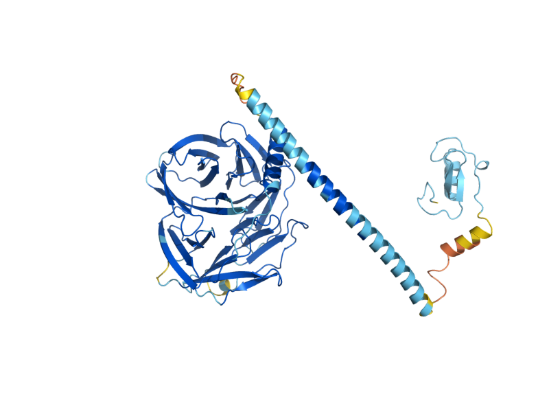 AlphaFold predicted structure of PRP19