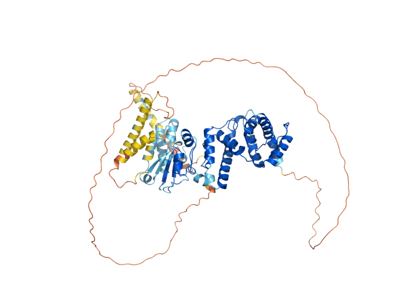 AlphaFold predicted structure of ECM25