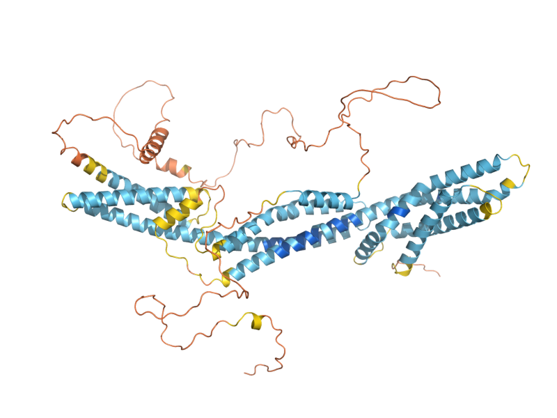 AlphaFold predicted structure of KAR9