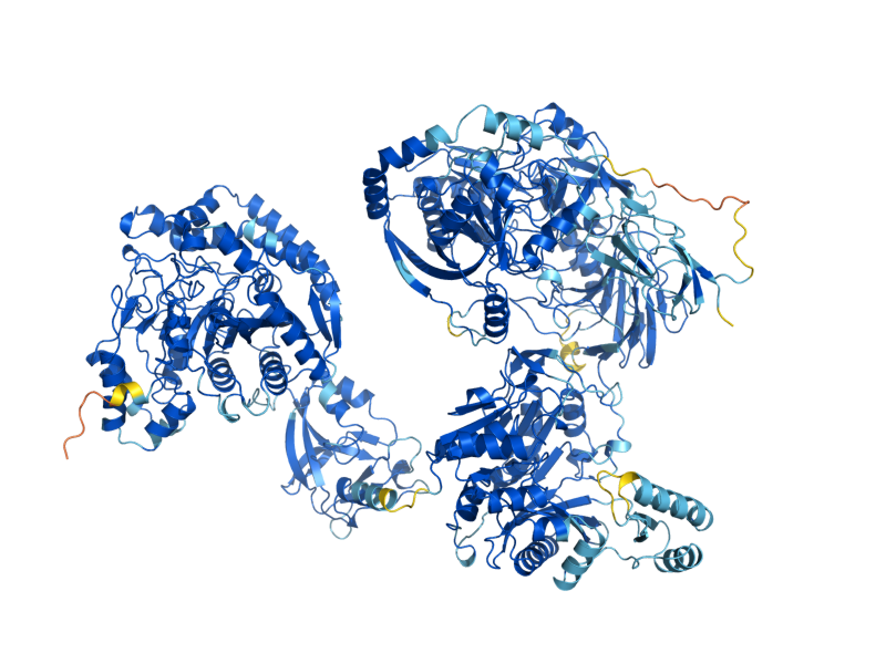 AlphaFold predicted structure of DUR12
