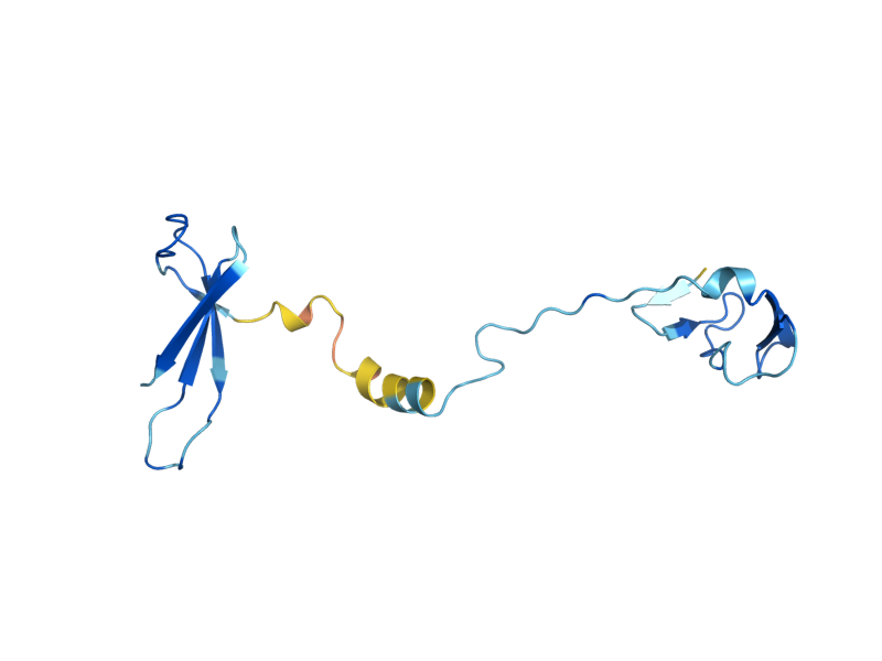 AlphaFold predicted structure of RPA12