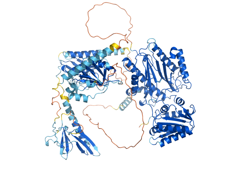 AlphaFold predicted structure of SPT16