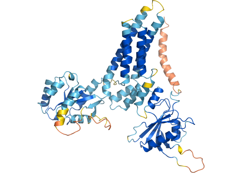 AlphaFold predicted structure of MSS1