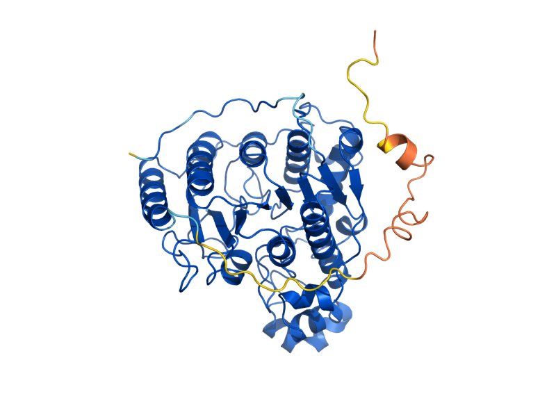 AlphaFold predicted structure of RPD3