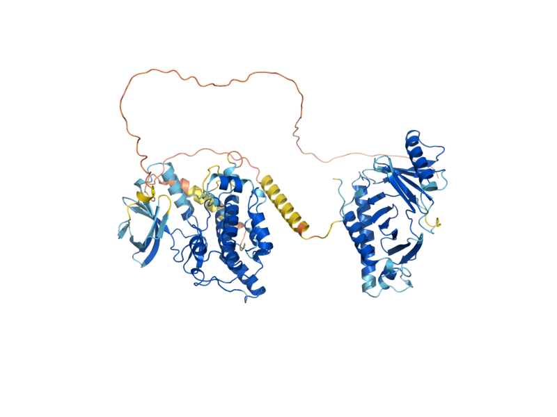 AlphaFold predicted structure of CDC5