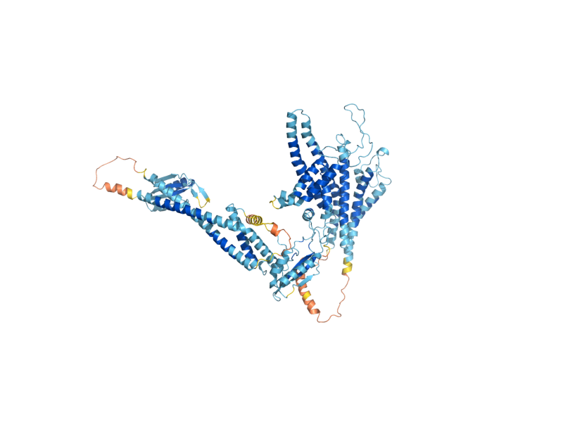 AlphaFold predicted structure of VPH1