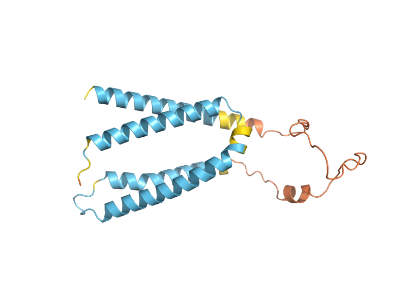AlphaFold predicted structure of SCM4