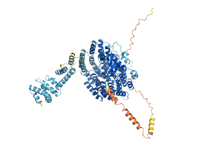 AlphaFold predicted structure of RPN2
