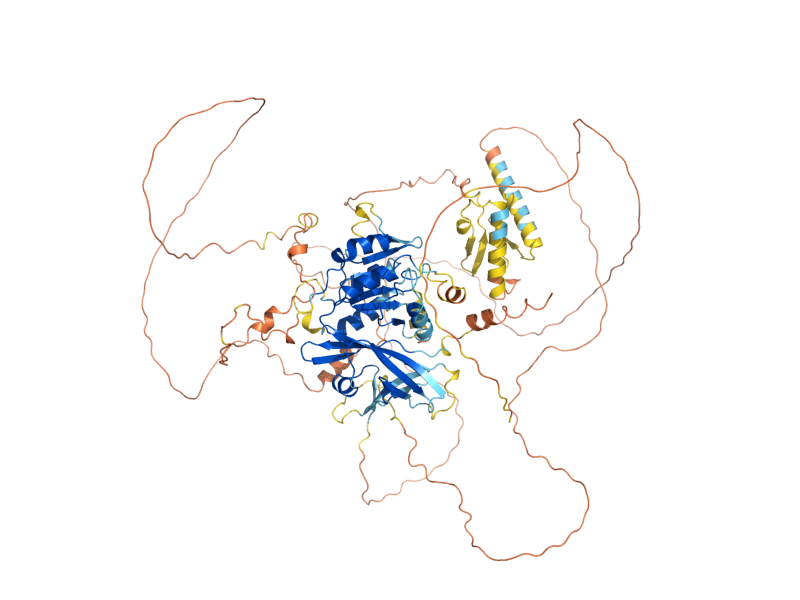 AlphaFold predicted structure of PAH1
