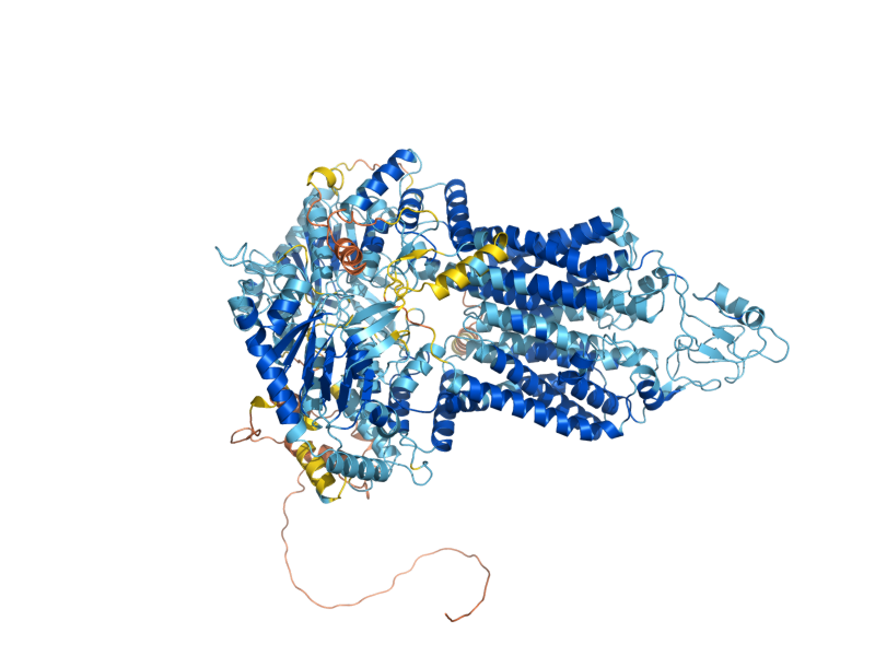 AlphaFold predicted structure of SNQ2