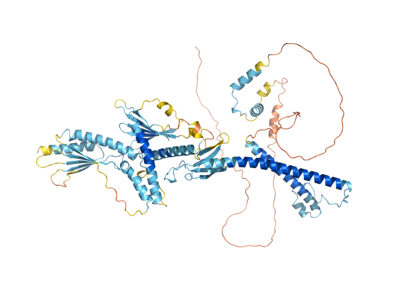 AlphaFold predicted structure of SRB4