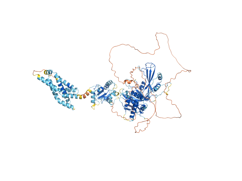 AlphaFold predicted structure of DOA4