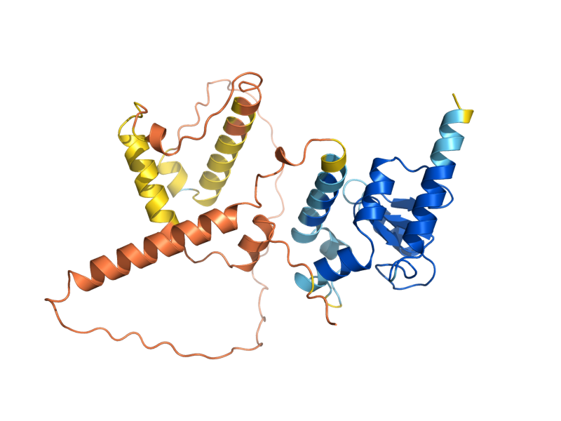 AlphaFold predicted structure of SPS18