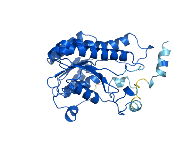 AlphaFold predicted structure of SPS19