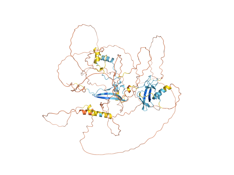 AlphaFold predicted structure of SIP1