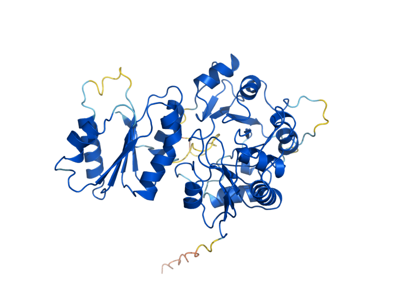 AlphaFold predicted structure of SUA5