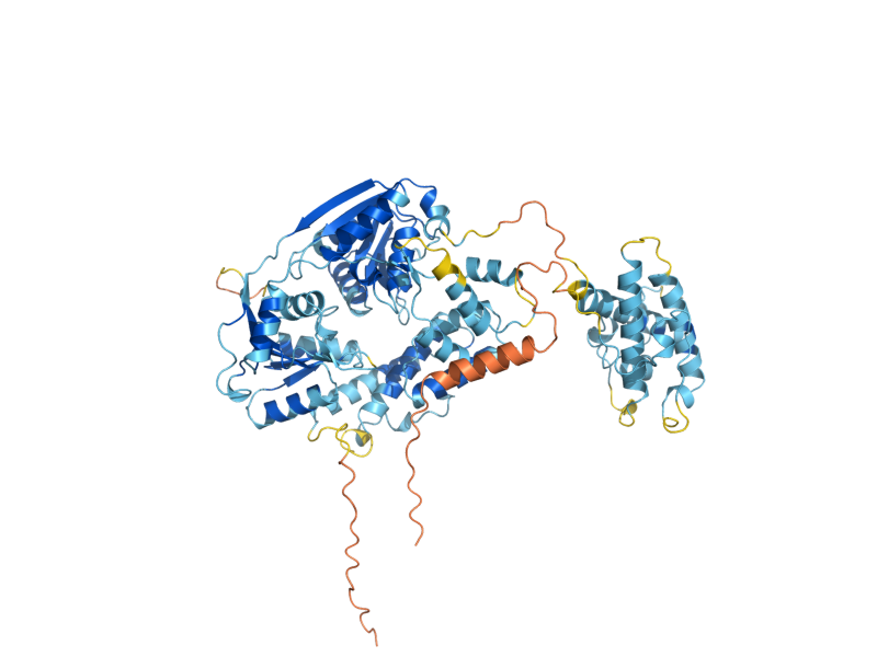 AlphaFold predicted structure of SUV3