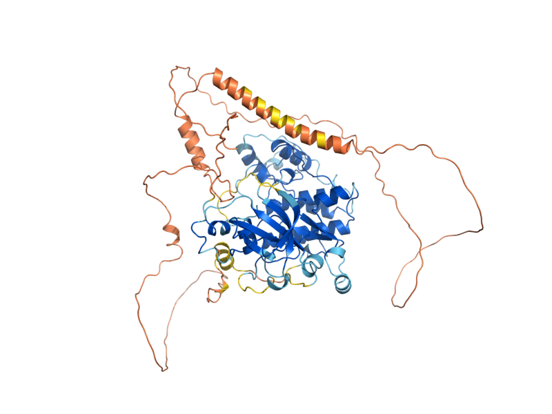AlphaFold predicted structure of IME2