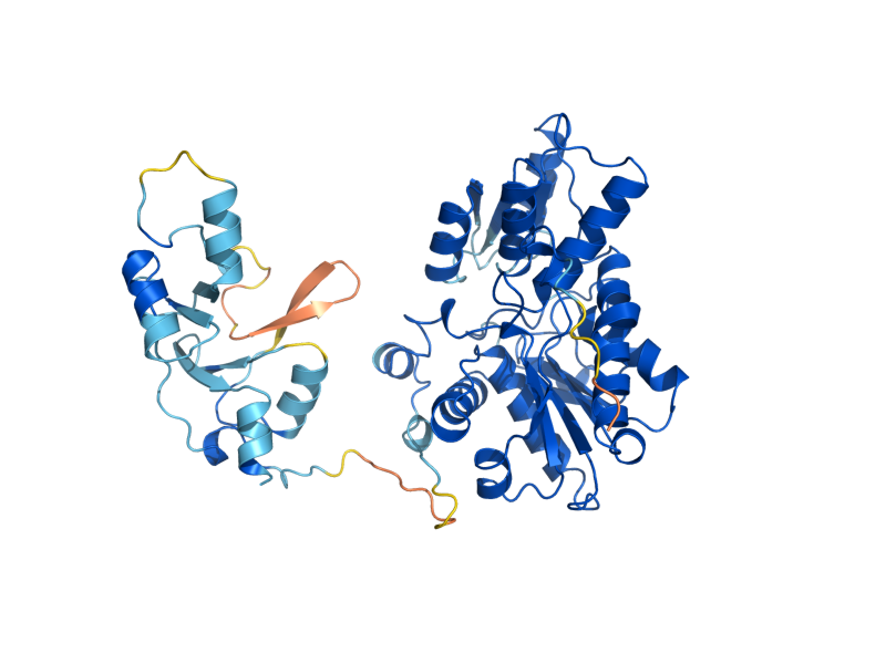 AlphaFold predicted structure of CYS4