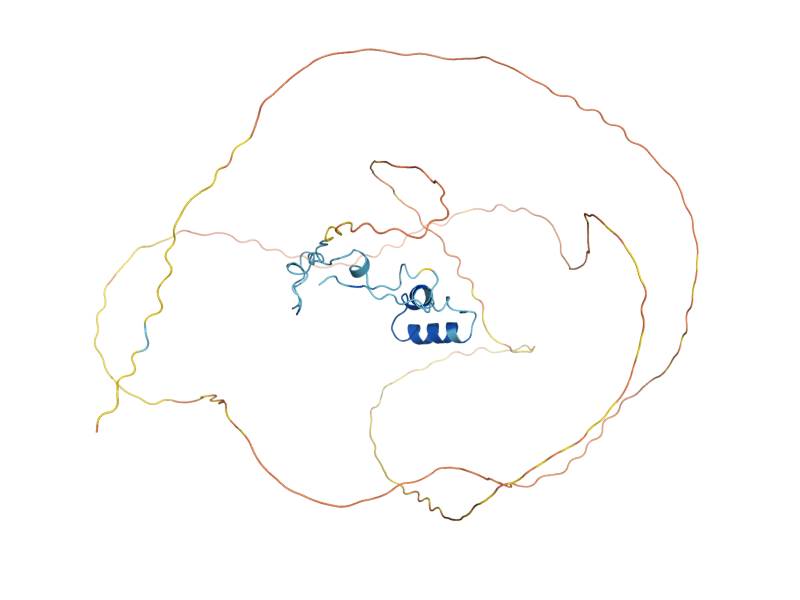 AlphaFold predicted structure of SRP40