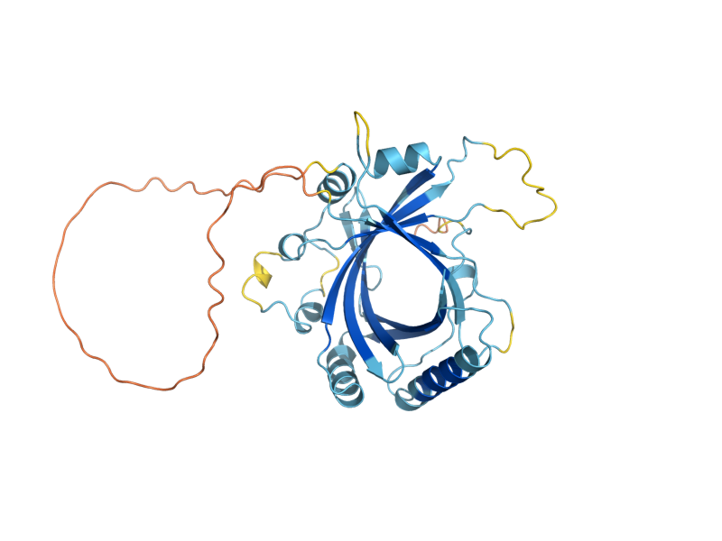 AlphaFold predicted structure of SRB5