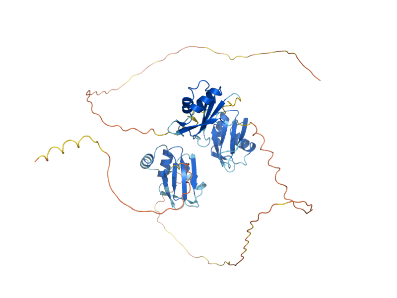 AlphaFold predicted structure of PUB1
