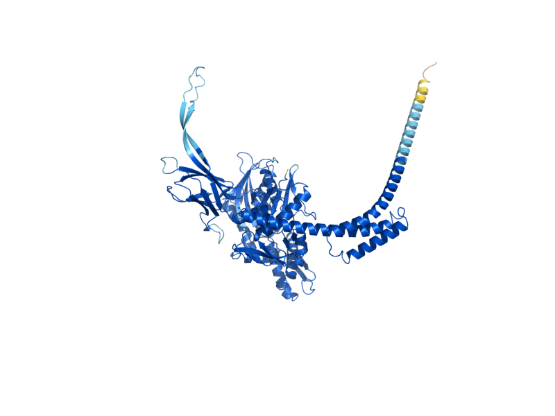 AlphaFold predicted structure of SSE1