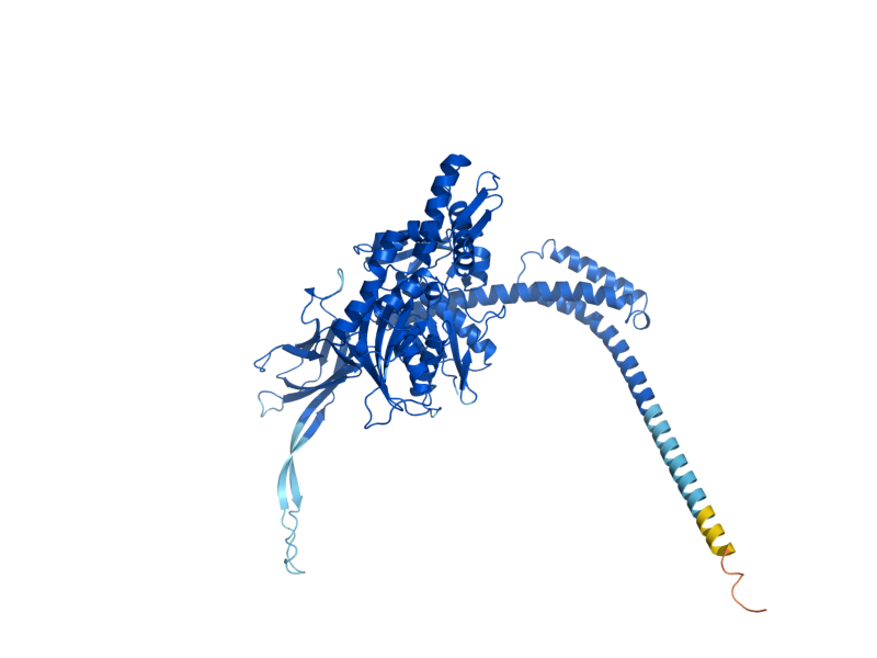 AlphaFold predicted structure of SSE2
