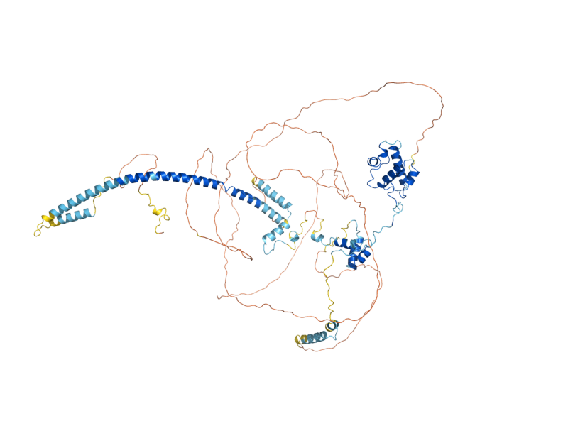 AlphaFold predicted structure of SWI3