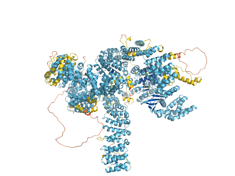 AlphaFold predicted structure of TOR2