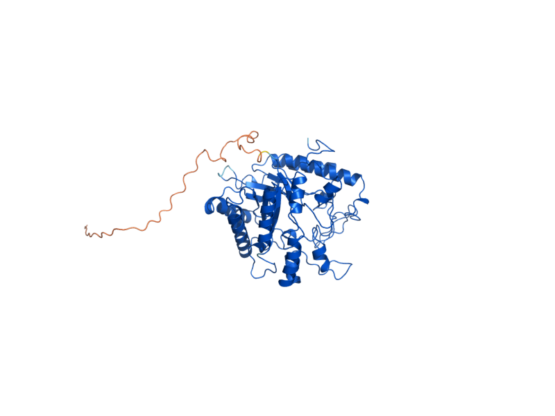 AlphaFold predicted structure of SPR1
