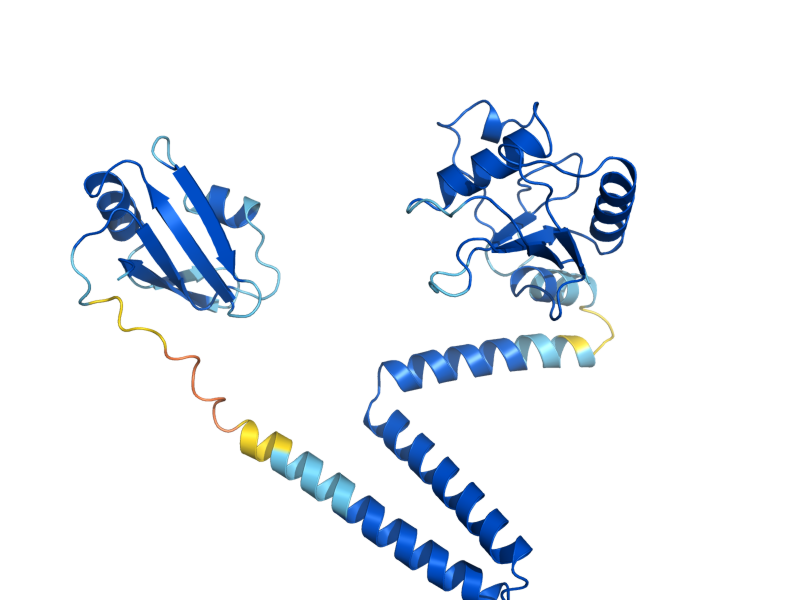 AlphaFold predicted structure of MUD1