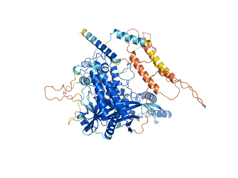 AlphaFold predicted structure of PET127