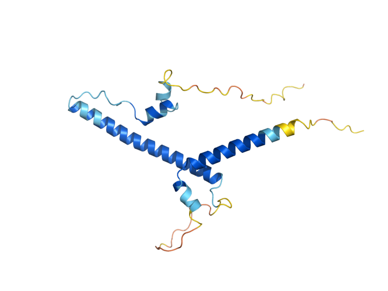 AlphaFold predicted structure of RTG1