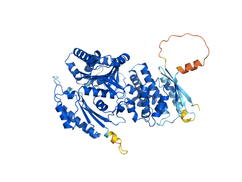 AlphaFold predicted structure of RTG2